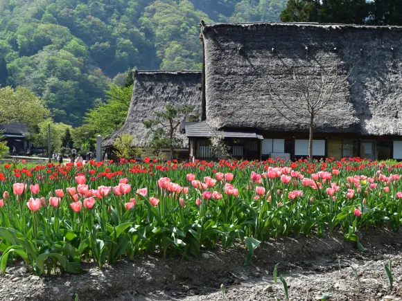 世界遺産 五箇山 菅沼合掌造り集落-5