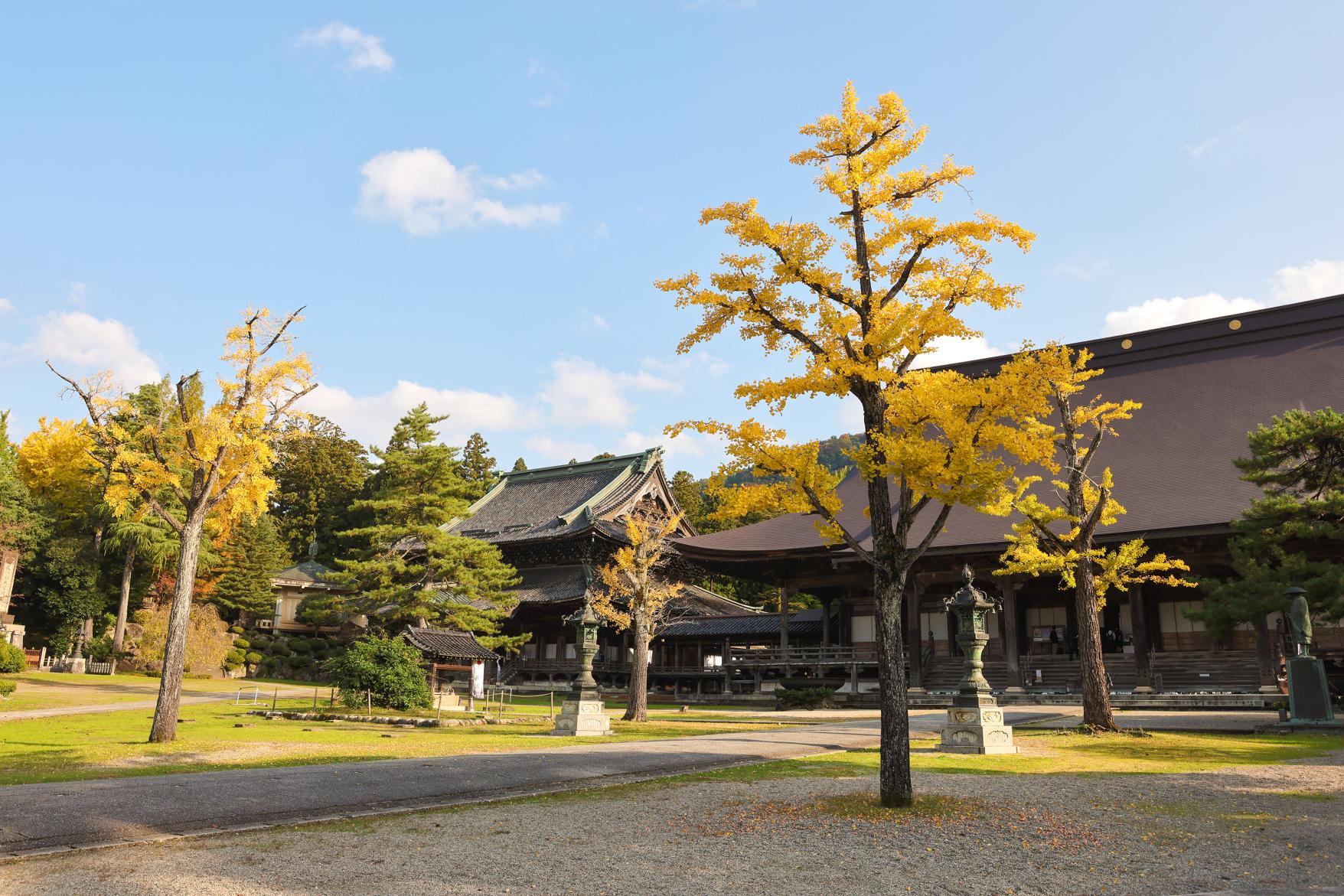 井波別院瑞泉寺-5