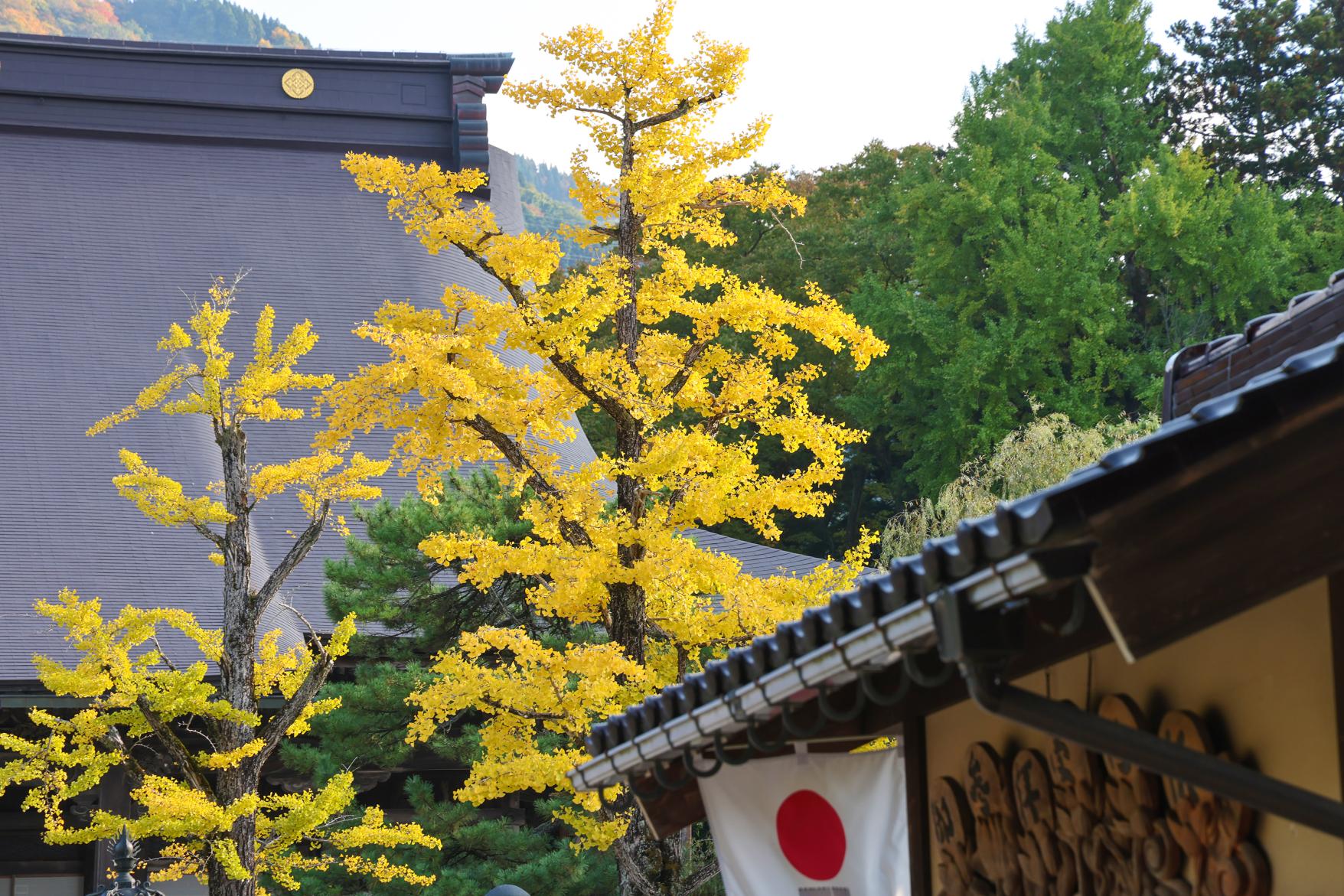 井波別院瑞泉寺-6