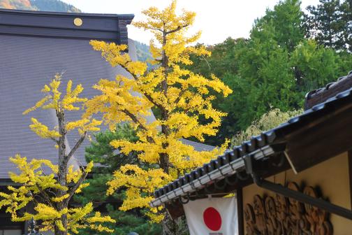 井波別院瑞泉寺-6