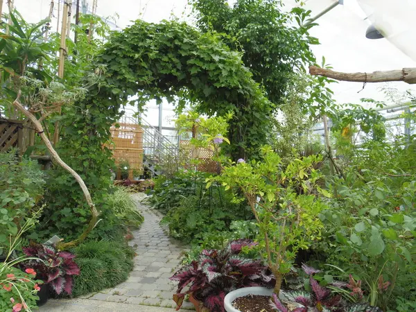 【休園】南砺市園芸植物園 フローラルパーク-3