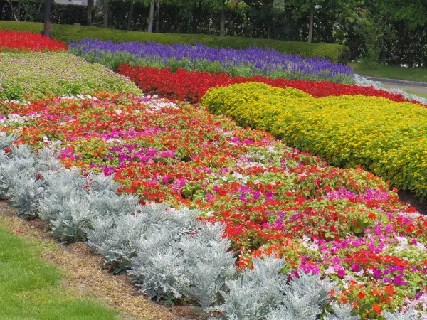 【休園】南砺市園芸植物園 フローラルパーク-2