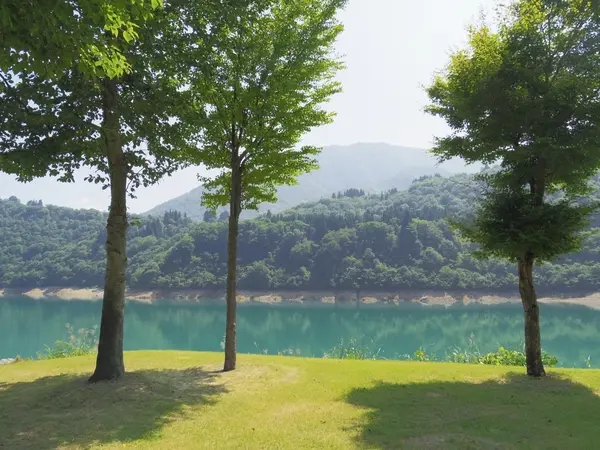 桂湖ビジターセンター-3
