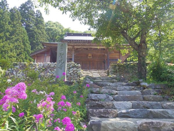 石段の先には花と緑に囲まれた聖光寺