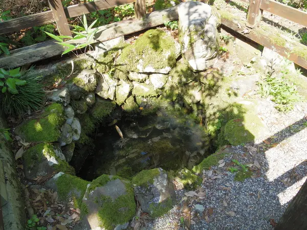 臼浪水-1