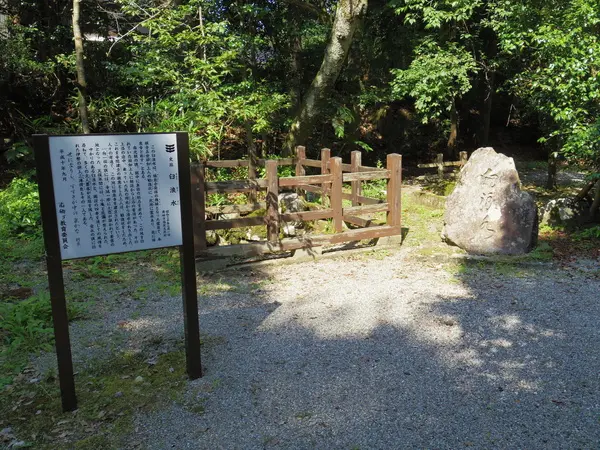 木々に囲まれた静かな空間