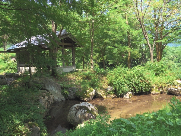 近くには水と緑にあふれた公園が