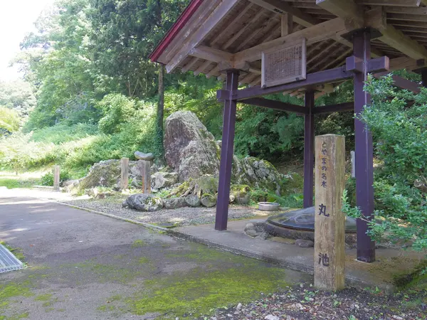 境内の裏に名水が湧き出る丸池があります