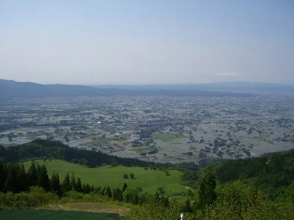 縄ヶ池ミズバショウ群生地-3