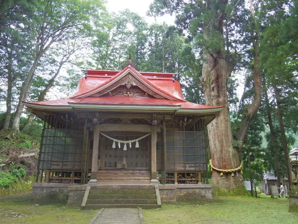 坂上の大杉-1