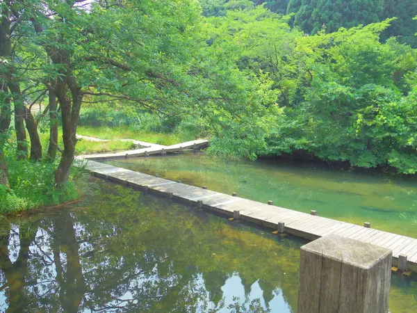 桜ヶ池-1