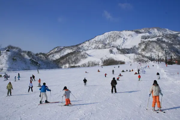 IOX-AROSA-2