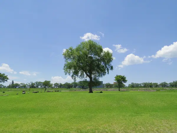 庄川清流パーク-3