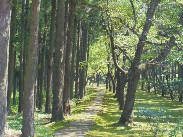 県民公園　頼成の森-1