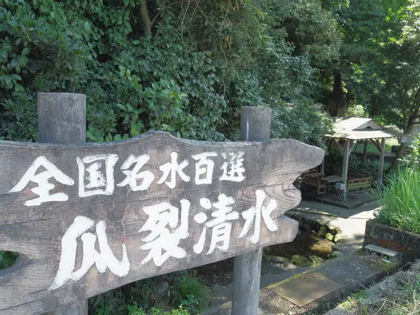 木々に囲まれ静かに湧き出る清水