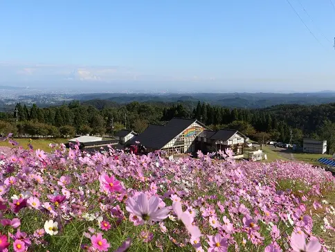 となみ夢の平スキー場-1