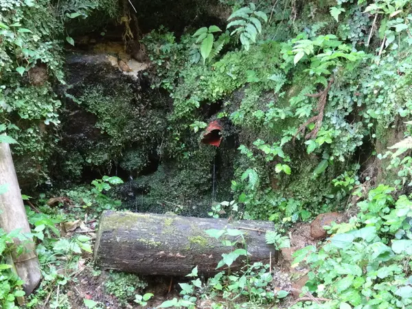 又兵衛清水-3
