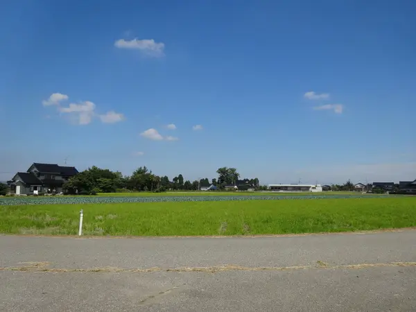 御館山の館跡-2