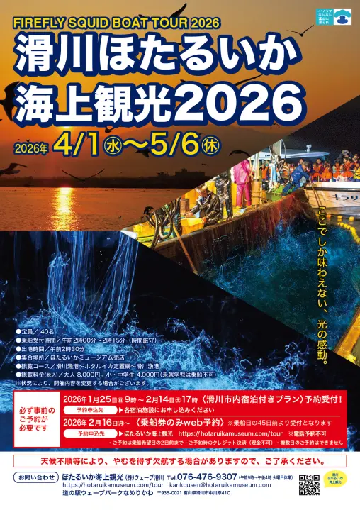 Firefly Squid Sea Tourism: Come experience the firefly squids' magical light-7