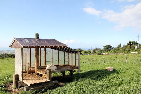 くろべ牧場まきばの風 ファームフェア-2