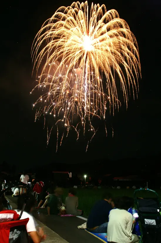 舟見七夕祭り-3