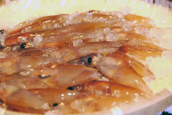 滑川名物ホタルイカと親しもう！