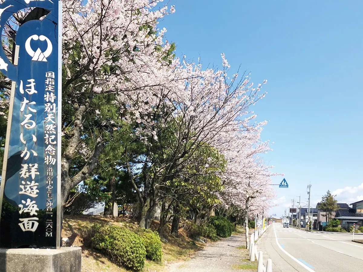 道の駅ウェーブパークなめりかわ-4