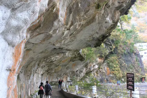 黒部峡谷トロッコ電車 / 黒部峡谷-9