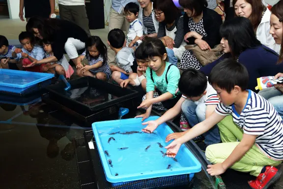 Hotaruika Museum (Firefly Squid Museum)-2