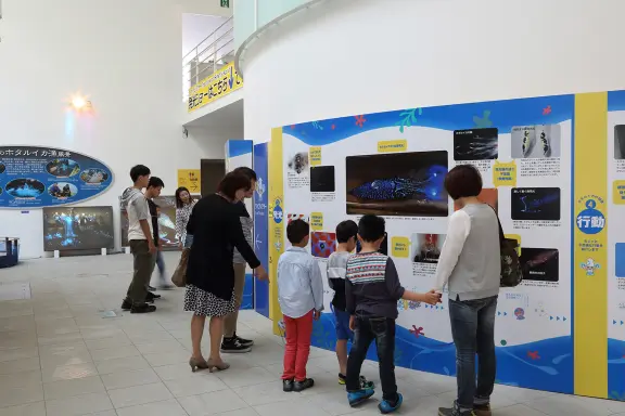 Hotaruika Museum (Firefly Squid Museum)-3
