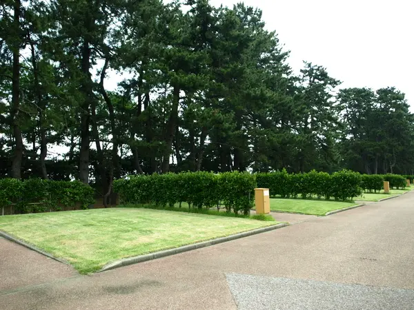 朝日ヒスイ海岸オートキャンプ場-1