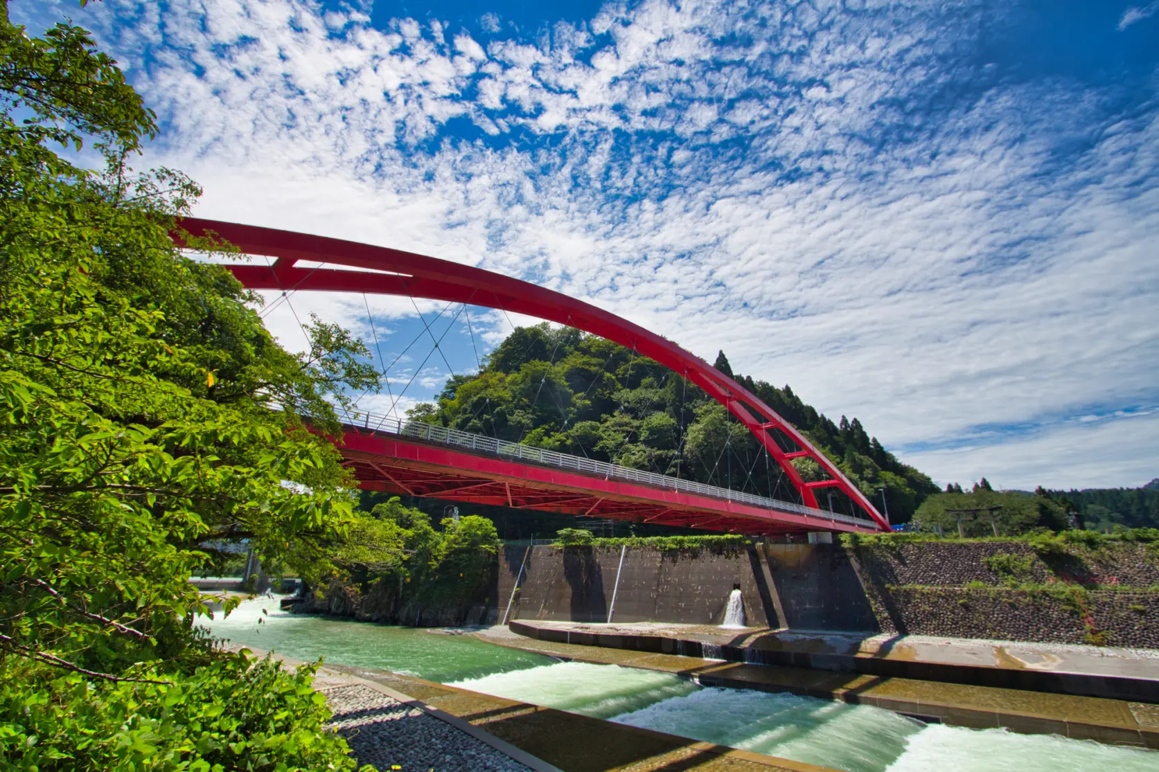 鮮やかな赤い色が印象的