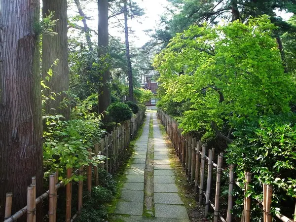 松桜閣の庭園-3