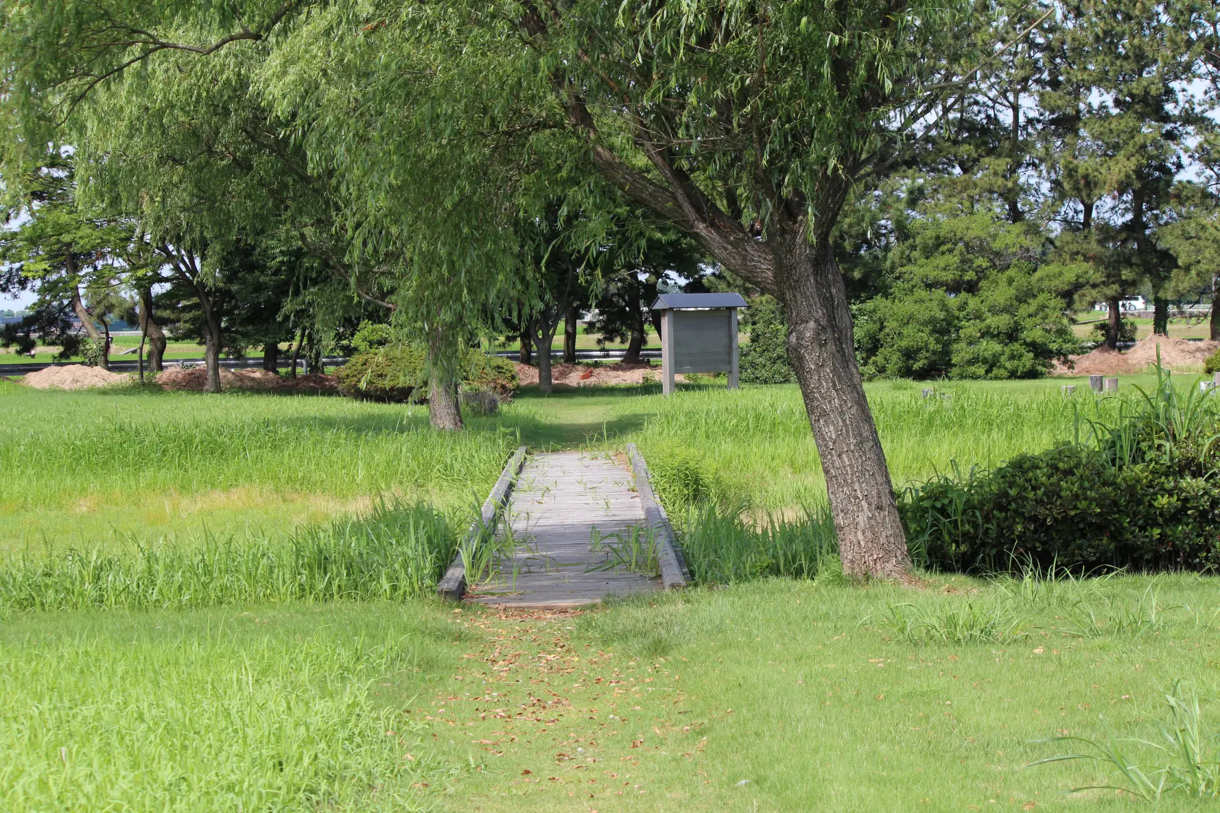 じょうべのま遺跡　-3