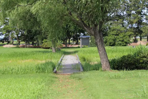 じょうべのま遺跡　-3