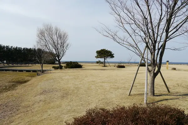 じょうべのま遺跡　-1