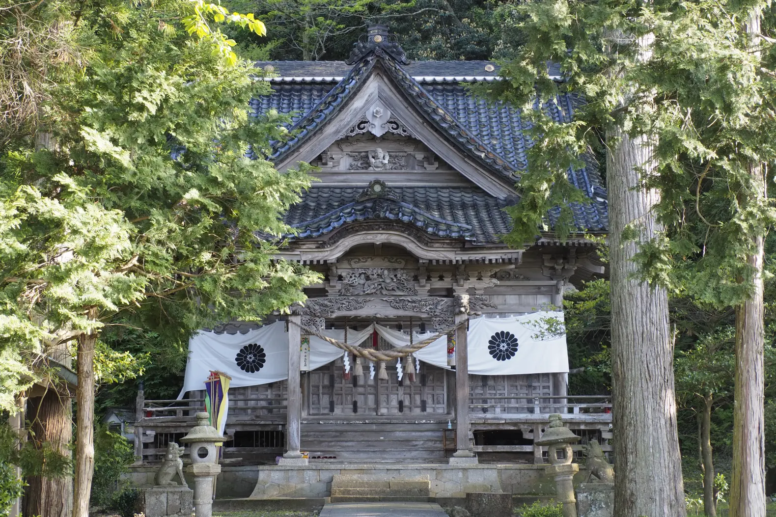 鹿島樹叢（宮崎自然博物館）-1