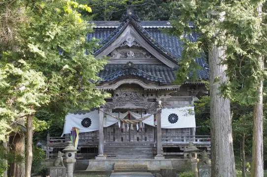 鹿島樹叢（宮崎自然博物館）-1