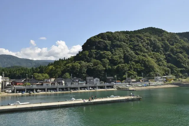 鹿島樹叢は魚付き林として漁場を育んでいます