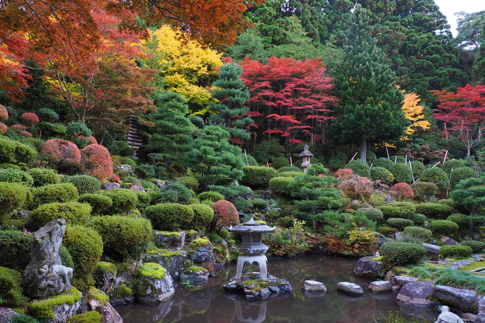紅葉の池泉回遊式庭園をのんびり散策