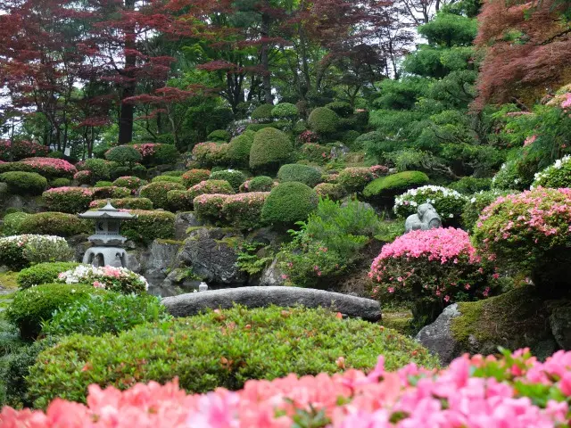 境の護國寺（シャクナゲ寺）-1