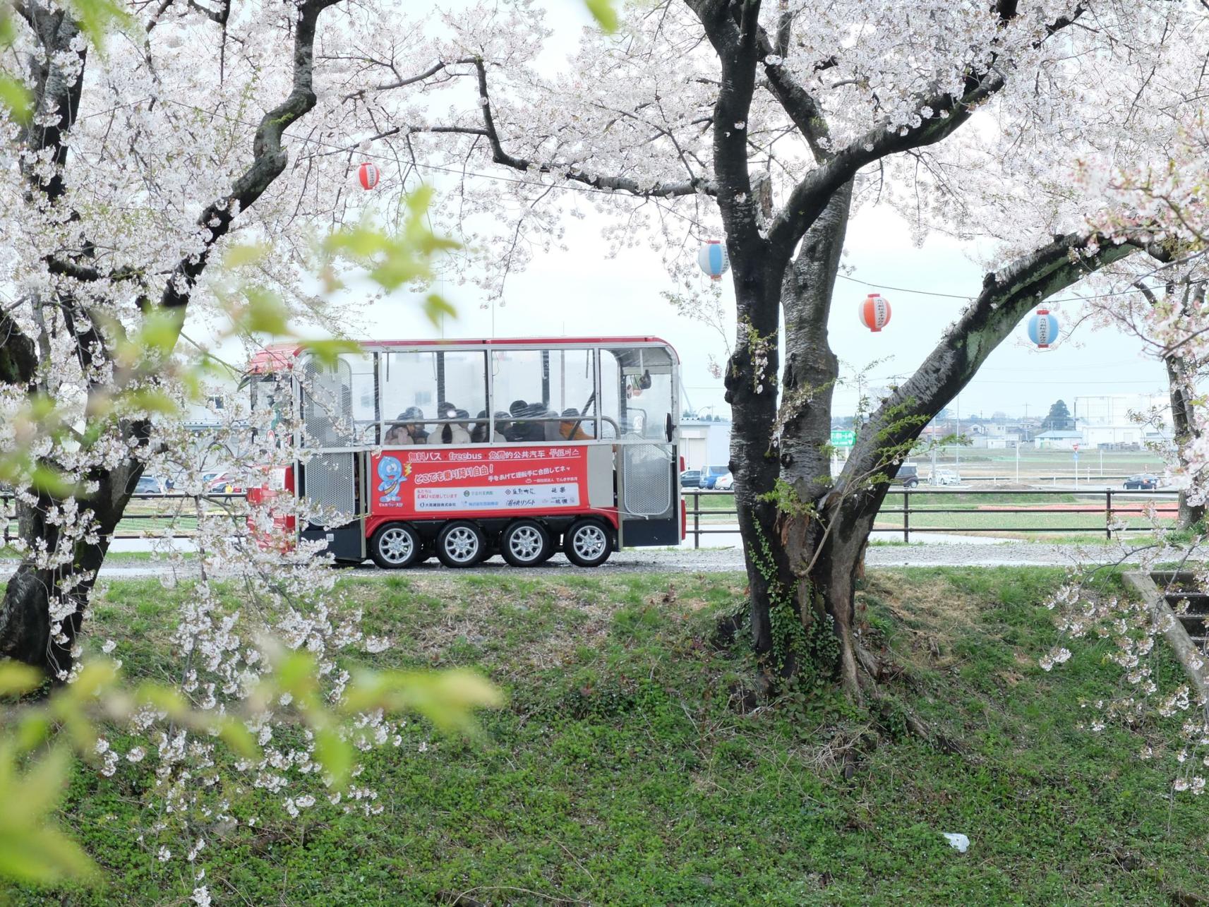 Asahi Funagawa Spring Quartet-4