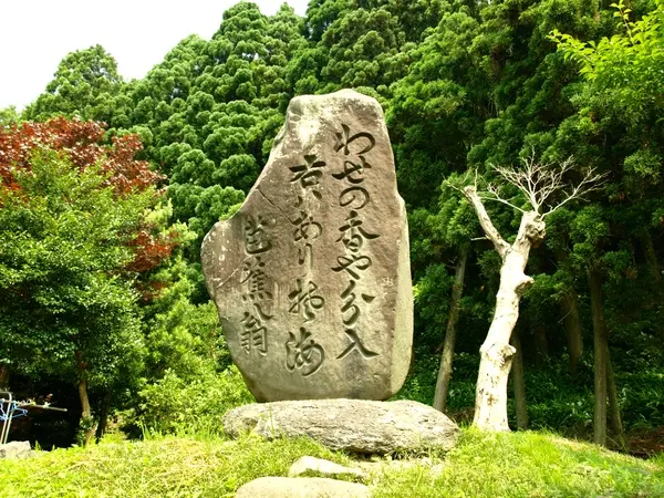 まさに芭蕉が詠んだ句の世界を感じられます