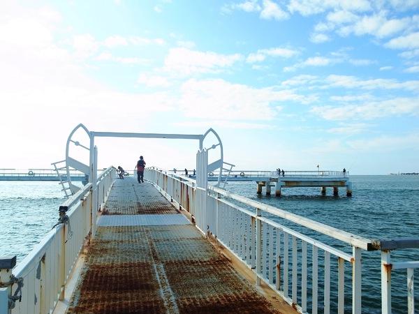 Ishida Fisherina Pier-1