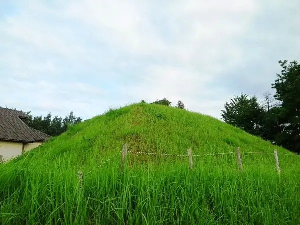 阿古屋野古墳-1