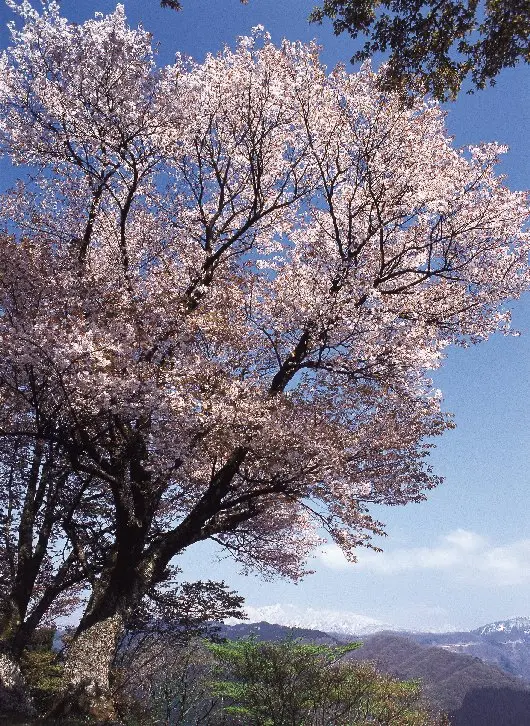 松倉城跡-4