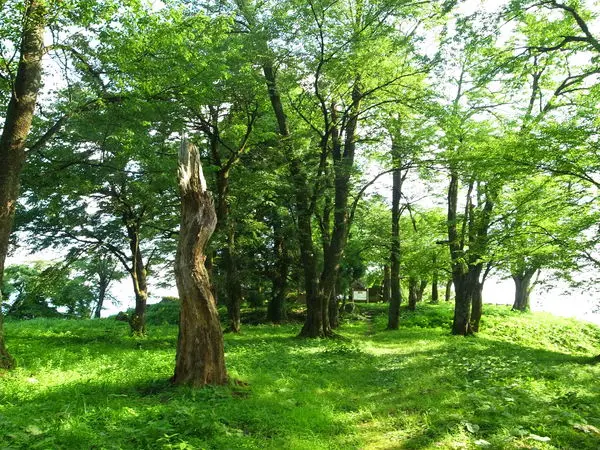 松倉城跡-3