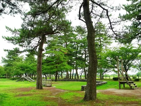 大伴家持の歌碑-3