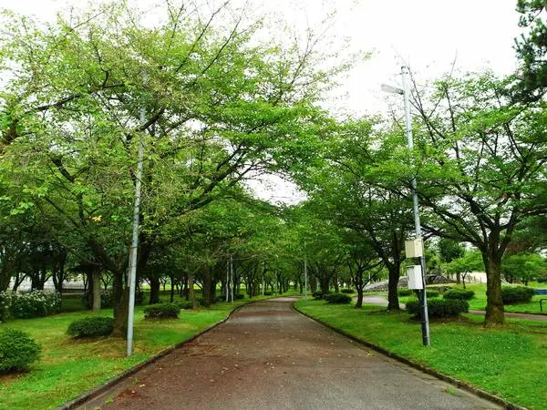大伴家持の歌碑-2