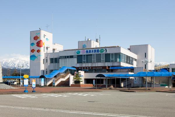 日本で最も歴史のある水族館！